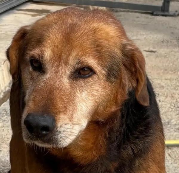 4anni SENZA NOME USCITO DAL BOX.X LE FOTO.SICILIA Foto 2